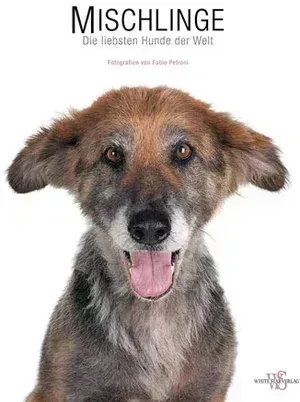 Mischlinge - Die liebsten Hunde der Welt