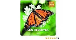 LES INSECTES