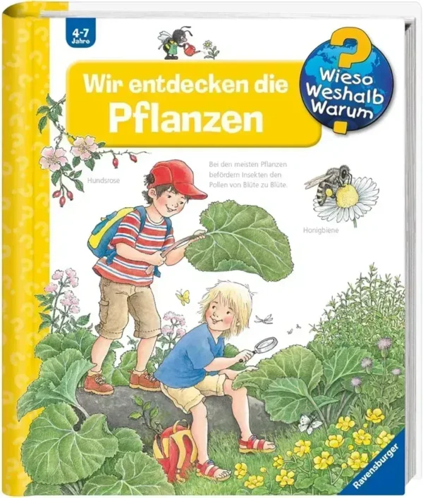 Wir entdecken die Pflanzen