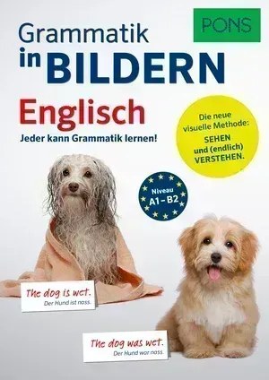 PONS Grammatik in Bildern Englisch