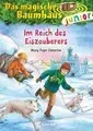 Das magische Baumhaus junior (Band 29) - Im Reich des Eiszauberers
