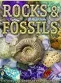 Rocks and Fossils