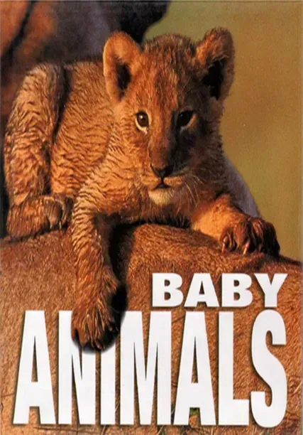 Baby Animals