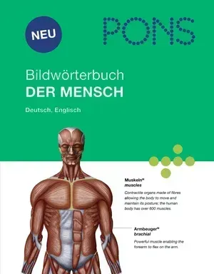 PONS Bildwb. Der Mensch
