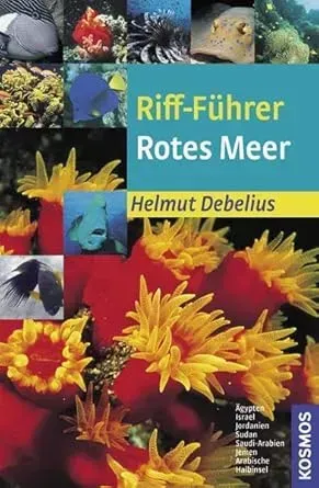 Debelius - Riff-Führer Rotes Meer