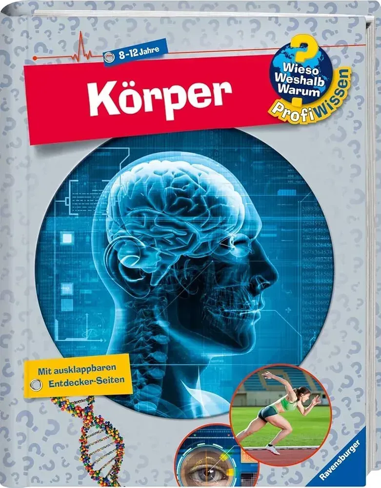 Körper