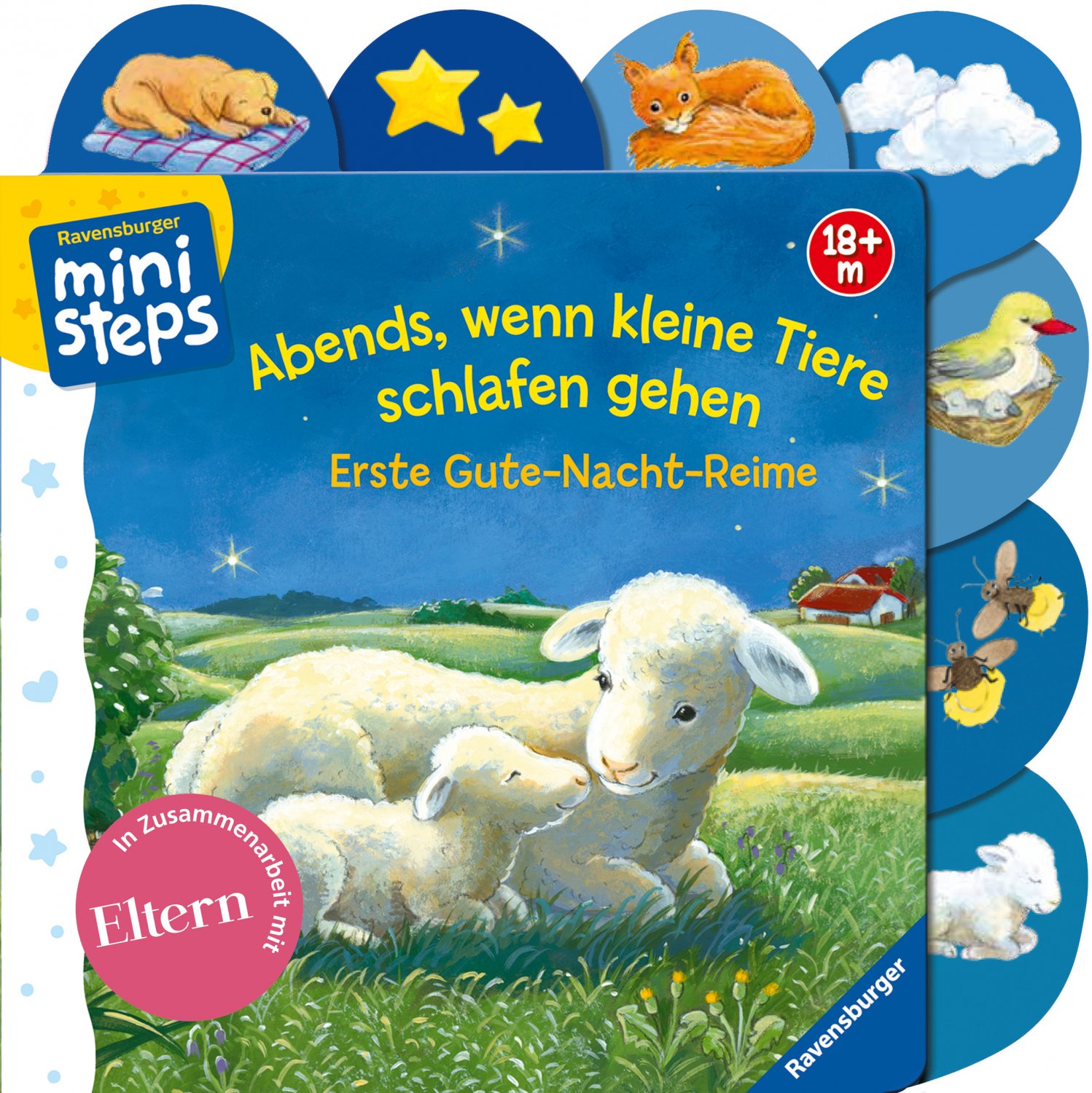 Augen, Bauch und Hände