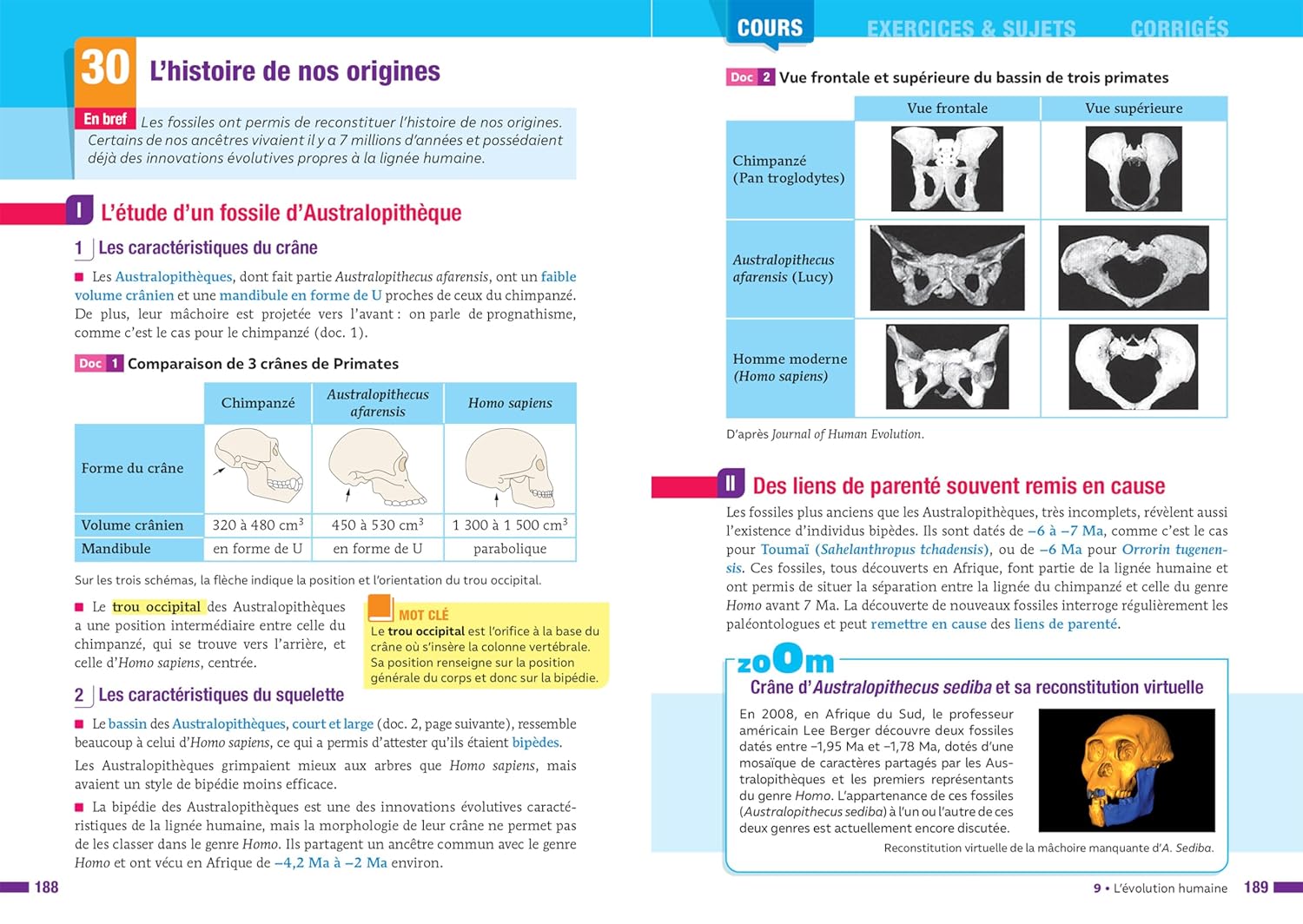 Prépabac - Enseignement scientifique Tle générale - Bac 2026: cours, méthodes & entraînement (programme de Terminale) - Image 4