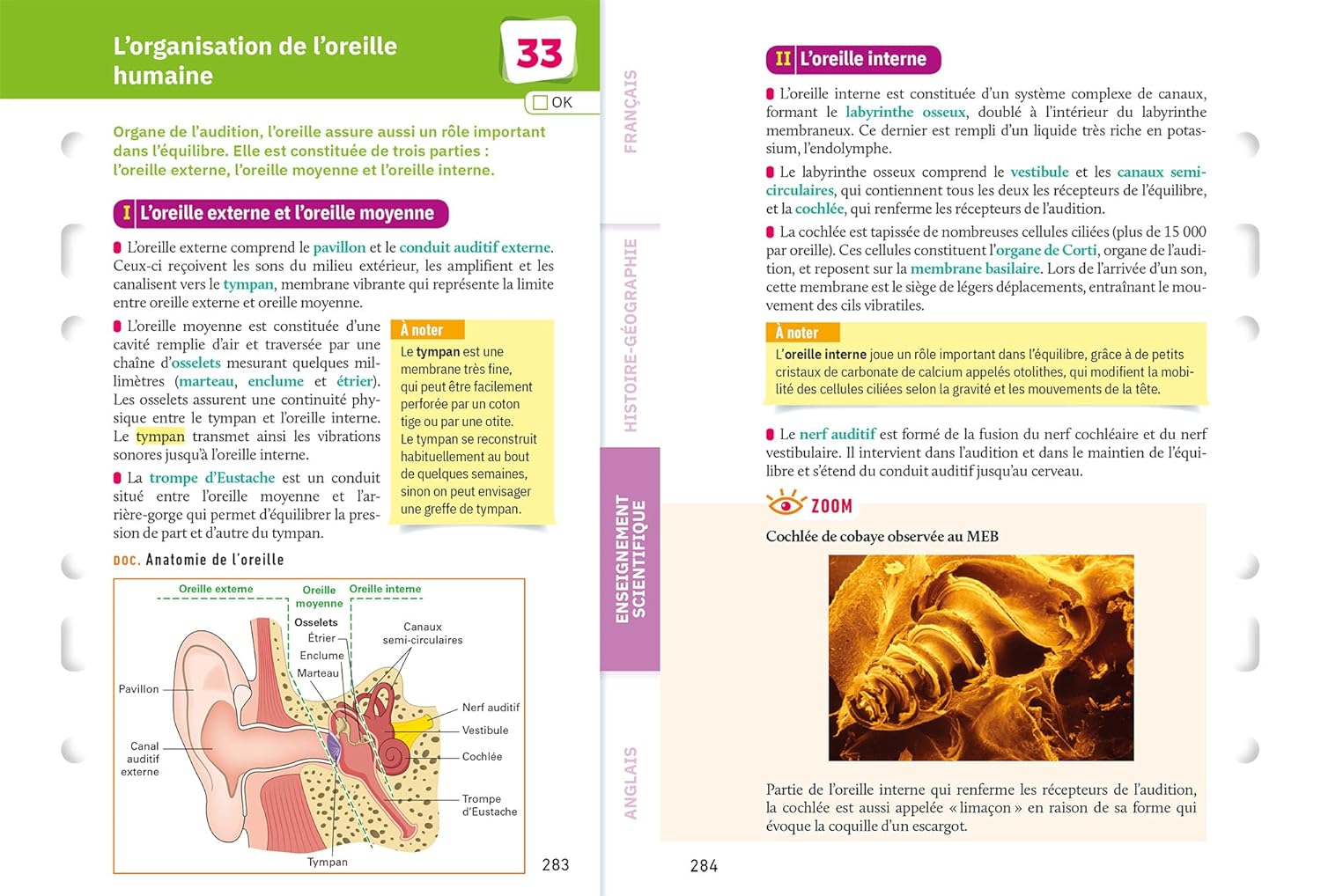 Fiches bac L'intégrale du tronc commun 1re générale Bac 2022: nouveau programme de Première Paperback – August 18, 2021 - Image 2