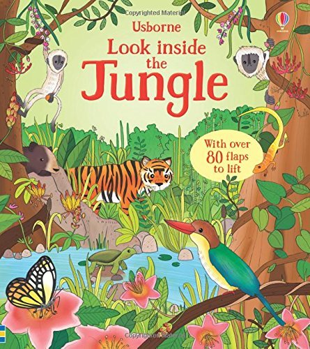 Usborne Look Inside Our world 6 Books Collection Pack Set ( Seas and Oceans, Nature,Our World,Animal Homes,Jundle,Space) - Image 2