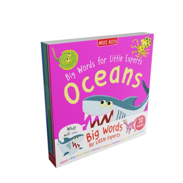 Big Words for Little Experts 10 Pack